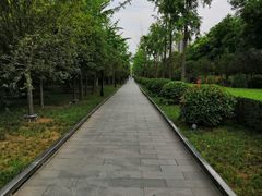 -唐城墙遗址公园