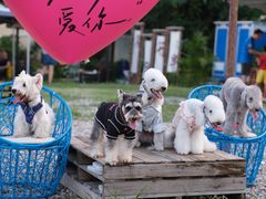 -大象营野Life营地·钓虾(坦尾店)