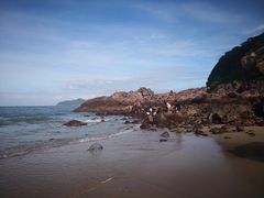 -西涌国际滨海旅游区