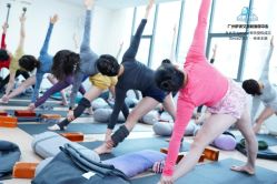 点击看大图 -广州萨谛艾扬格瑜伽中心