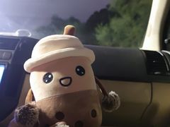 -WFC会仙楼观景台