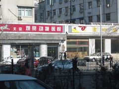-北京观赏动物医院·24小时大型综合·猫专科·异宠专科