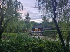 -日出青木