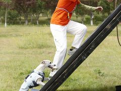 -汉长安城未央宫国家考古遗址公园