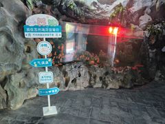 -苏州海洋馆