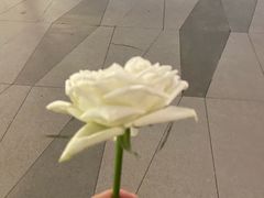 -张翻越·川渝冒菜·武汉黑鸭煲(城北万象城店)