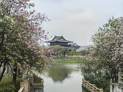 -海珠湖公园