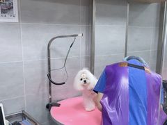 -宠福鑫康馨动物医院·骨科·眼科