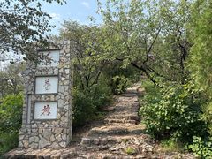 -青州仰天山