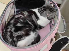 -宠颐生中康贝怡动物医院