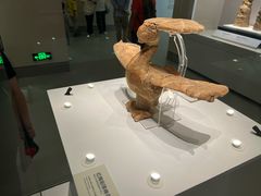 -杭州市第一人民医院(湖滨院区)