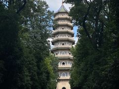 -灵谷景区