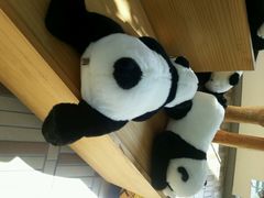 android_upload_pic-济州岛泰迪熊博物馆