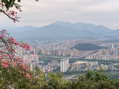 -风云岭森林公园