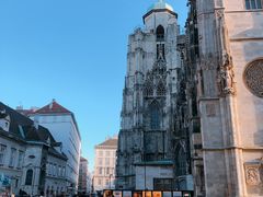 -斯蒂芬主教座堂(Stephansdom)