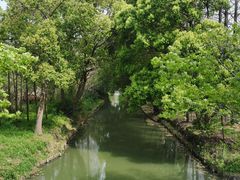 -同里国家湿地公园