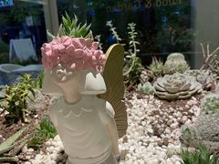 -春树下·树屋花房西餐厅(罍街AS1980店)