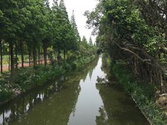 -上海长兴岛郊野公园