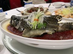-千灯盛汇·头牌粤菜(致越优城店)