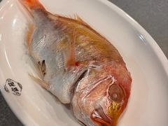 -吴记富苑(朝阳店)