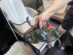 -镇发活海鲜(Clementi)