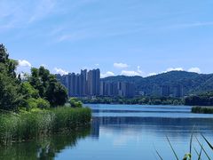 -梅溪湖城市岛