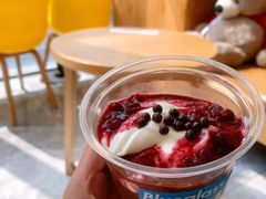 -Blueglass酸奶(财富购物中心店)