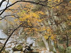 -尧山风景区