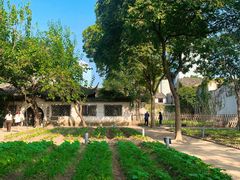 -绍兴鲁迅故里·沈园景区