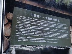 -田德能咖啡博物馆
