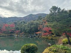 -天龙寺