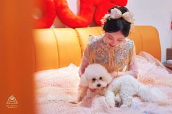 -曼格纳婚礼艺术中心(张江店)