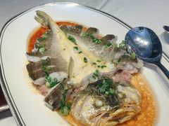 肉汁蒸海钓大黄鱼-炳胜公馆(珠江新城店)