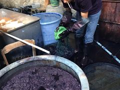 -璞真扎染博物馆