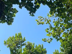 -南京市规划建设展览馆