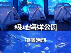 -海合安武汉极地海洋公园