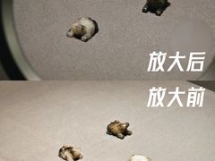 -南越王博物院