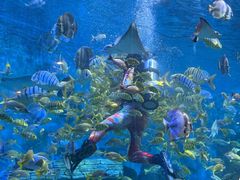 -横店影视城梦幻谷园区