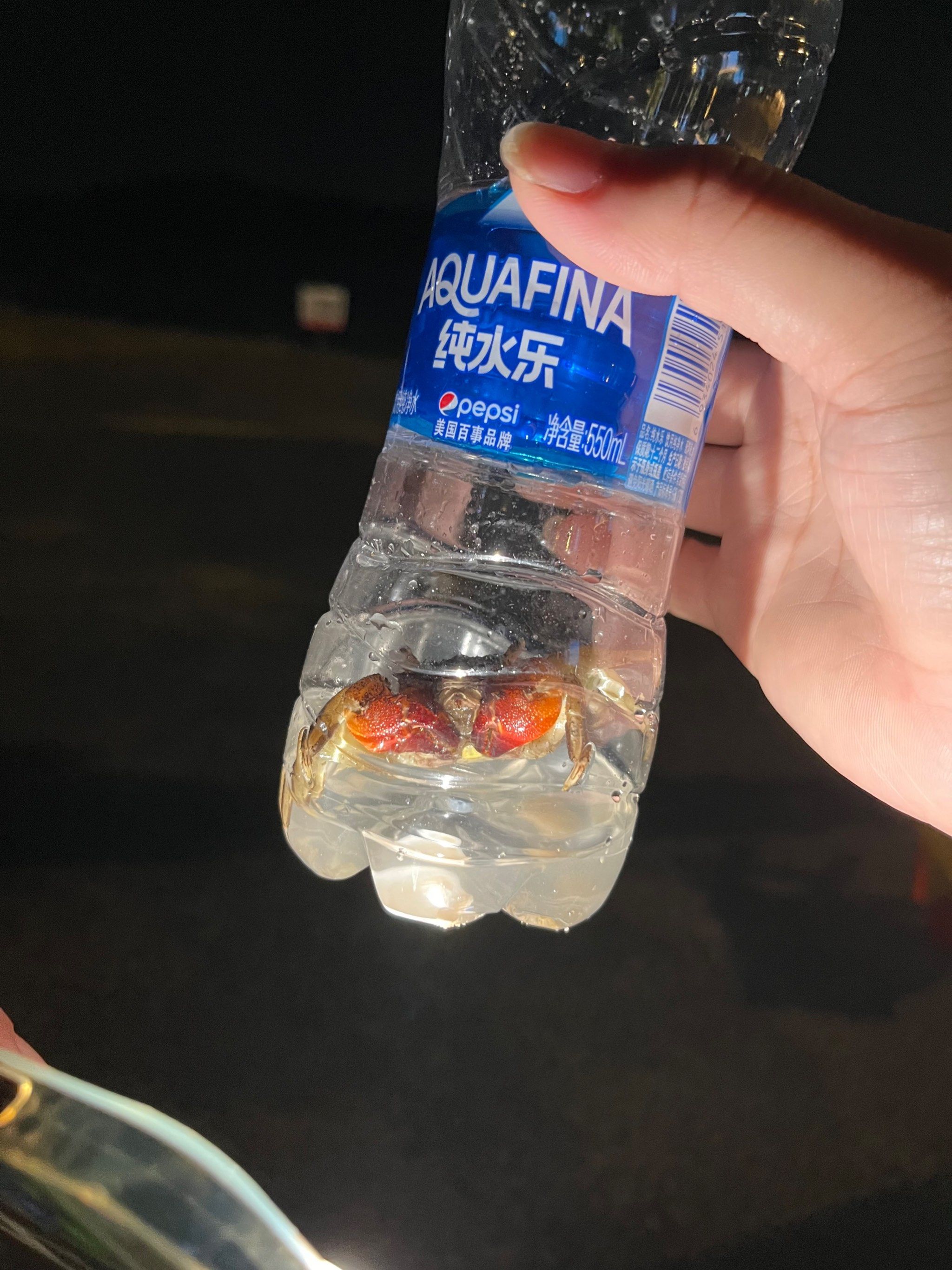 吹海风抓螃蟹?️