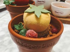 -哈根达斯(美罗城店)