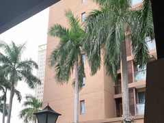 -三亚湾红树林度假世界(木棉酒店)