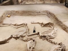 -洛阳周王城天子驾六博物馆