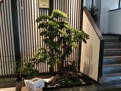 -溪畔•新徽菜(碧湖云溪店)