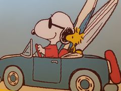 -九木杂物社(中心店)