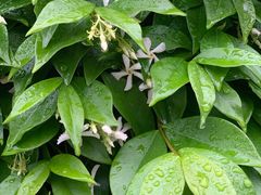 -宁波大学附属第一医院(外滩院区)