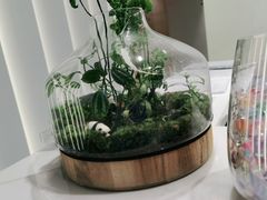 -齐玉齿科JADENTAL
