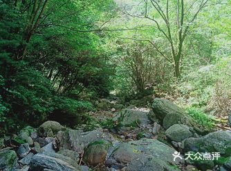 上周末和朋友一起报了爬山休闲游，回家后大腿小腿疼了三