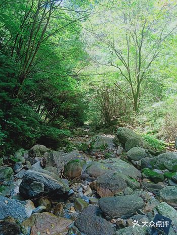 上周末和朋友一起报了爬山休闲游，回家后大腿小腿疼了三