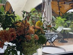 -gaga(深圳南山益田假日广场店)