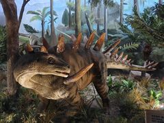 -陕西自然博物馆